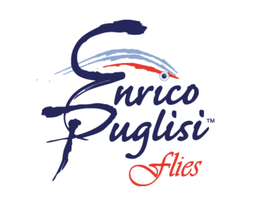 Enrico Puglisi
